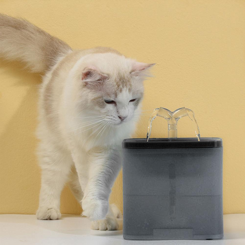 Pet Fountain